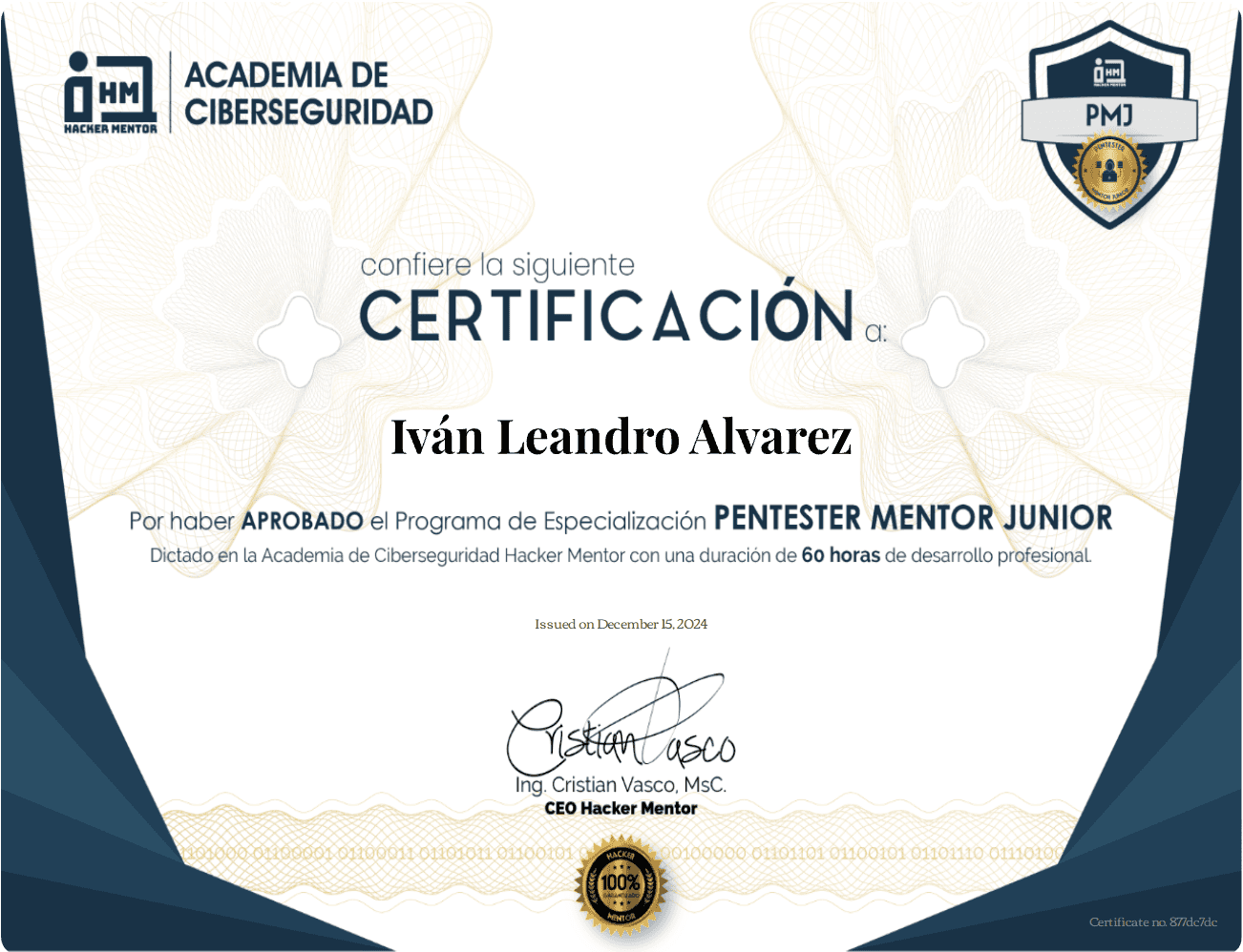 Pentester Mentor Junior